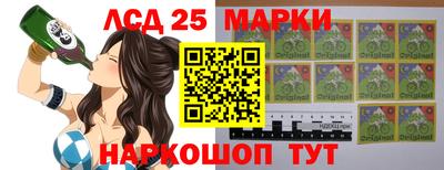 гидропоника Тверь
