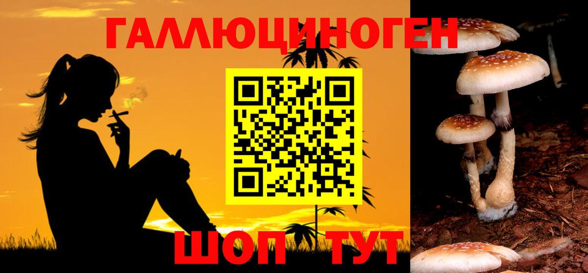 купить   Псилоцибиновые грибы Magic Shrooms  Вход с VPN  Нижнекамск 